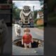 Unbelievable: Dog Saves Baby, Baby Saves Dog!