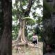 Wait for India || Card throwing Challenge Accepted || RKR Tricks