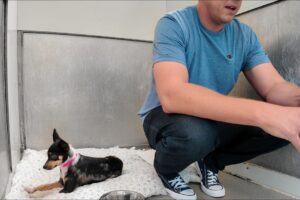 Watch her reaction when she's PET for the First Time in her life