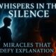 Whispers in the Silence: Near-Death Miracles That Defy Explanation | The Mortals