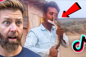 Wildlife Expert Reacts To TikTok’s Worst Animal Attacks