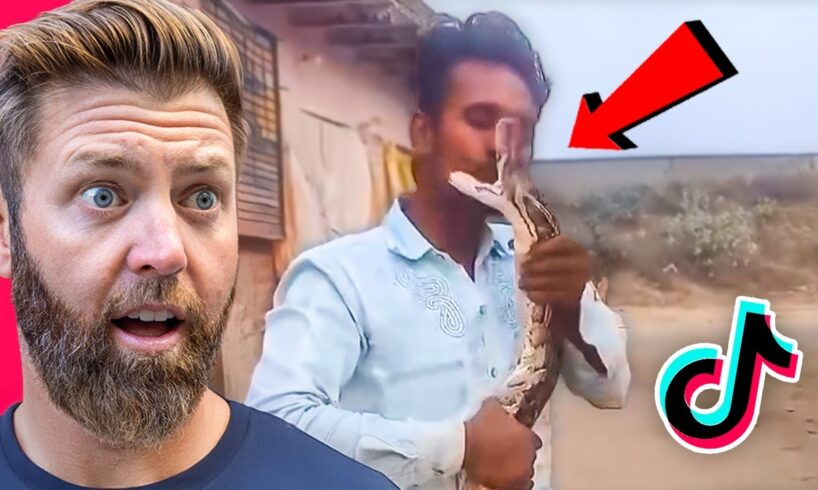 Wildlife Expert Reacts To TikTok’s Worst Animal Attacks