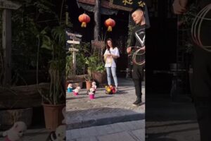 World's Most Cutest Puppies🥰❤️#jaidmeel#shortsfeed#trending#viral