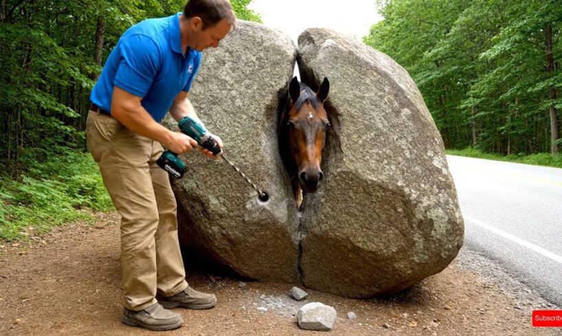 animal rescue : Man Performs Incredible Rescue of Horse Trapped Inside Solid Rock