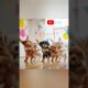 cute puppies crazy dance | #funnyvideo #cutepuppy #viralshorts #shorts #trending