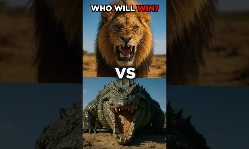 insane Animal Fights With SHOCKING Winners 😱🦁🔥