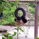 panda playing  #panda #funny #foryou #trending #youtubeshorts #ai #cutebaby #animals