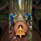 rescue mother duck and ducklings from giant log #animals #funny #shorts