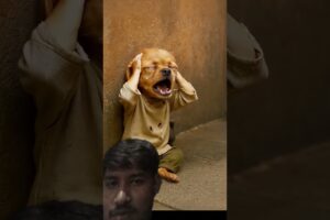 so cute puppies so sad 😿😭 story's #dogshorts 😿😭🐶help me 🙏😿