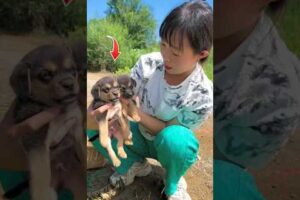 इस Mahila को कूड़ेदान me मिले 2 नन्हे puppies !! 🥰 😭 ❤️
