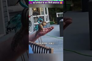 कई कोशिशों के बाद मिली सफलता #animal #animalrescue #animallover #rescue #squirrel
