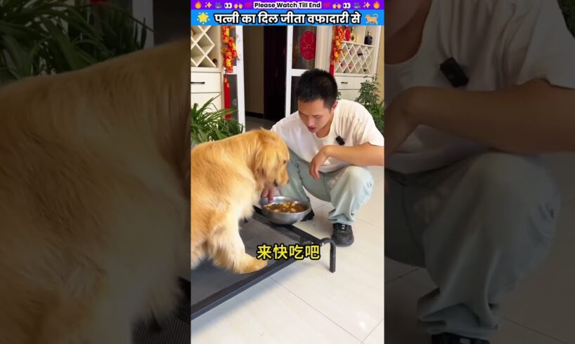 पत्नी का दिल जीता वफादारी से #animal #animalrescue #animallover #rescue #dog