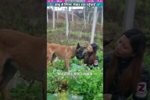 बाथू ने लिफ्ट लेकर दवा पहुँचाई #animal #animalrescue #animallover #rescue #dog
