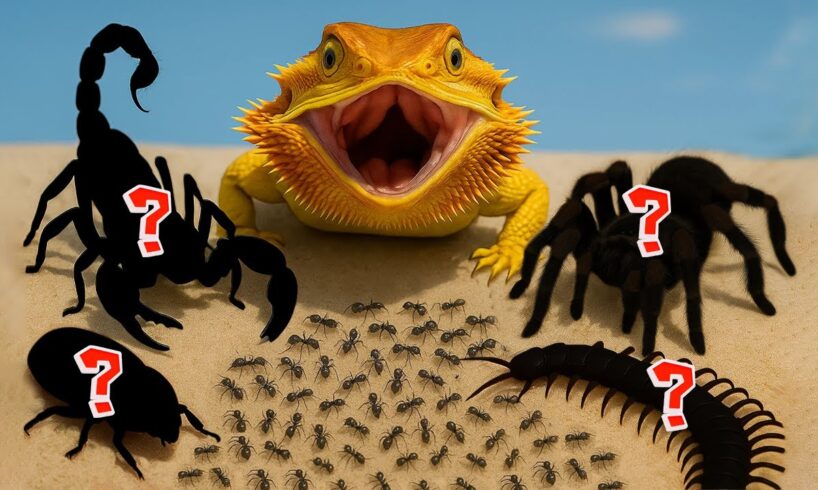 1,000 Black Ants Vs 1,000 Red Ants and 5 Deadly Predators | AntTrek's Simulation