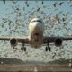 15 Mind-Blowing Real Events You’d Think Are Fake