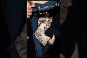 #marriageproposals