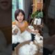 Cute Dog Collection, The World’s Cutest Puppies #dog #puppies #puppy #video #cute #cutest