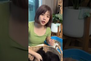 Cute Dog Collection, The World’s Cutest Puppies #dog #puppies #puppy #video #cute #cutest