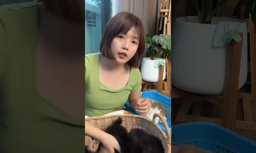 Cute Dog Collection, The World’s Cutest Puppies #dog #puppies #puppy #video #cute #cutest