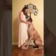 #dog #lovedog #dogs #puppy #doglover #doglife #love#cute #puppies #ilovemydog #cutedog #husbandog