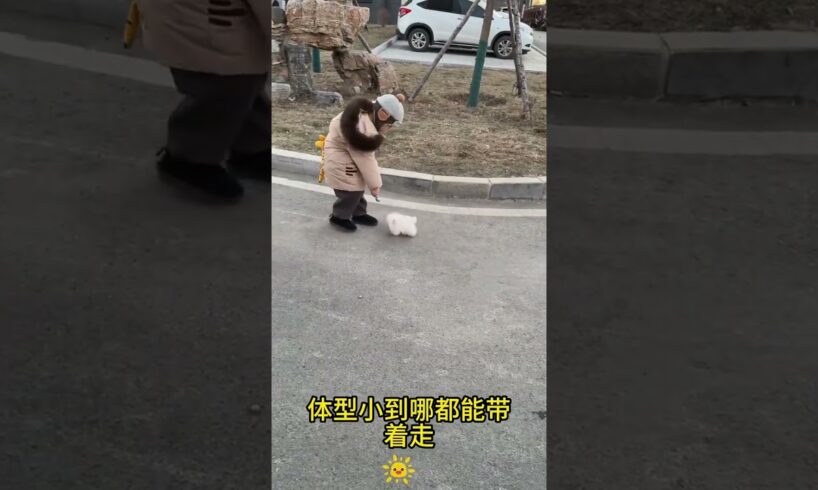 The love for these cute puppies grows day by day #dog #pet #cutedog #puppy #puppylove #cuteanimal