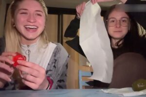 Try Not To Laugh | Funny Fails Of The Week #4