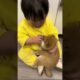 The love for these cute puppies grows day by day #dog #pet #cutedog #puppy #puppylove #cuteanimal
