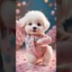 Cute Puppies Crazy Dance 💃 🤩| #funnyvideo #cutepuppy #dogshorts #funnyanimals #viraldance #cute #118