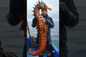 Small to Big Animal Transformation #animal #wildanimals #beforeandafter #viralvideo