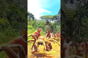 Small to Big Animal Transformation #animal #wildanimals #beforeandafter #viralvideo