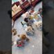 Cutest Puppies In the world 🌎 cute puppy funny🤣 video#pets #cuteanimal #puppy #viral
