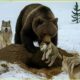 Craziest Grizzly Bear Attacks Ever Caught On Camera | Animal Fights