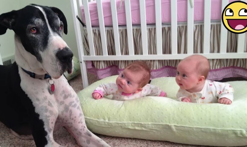 30 Minutes of Cutest Baby and Dog Friendships Ever! 🐶👶❤️