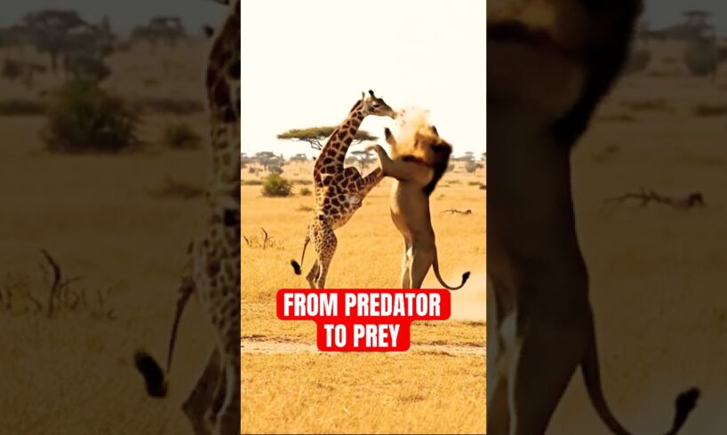 5 Animals That Fought Their Hunters...And Won