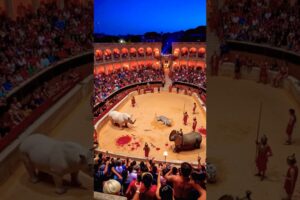 5 INSANE Animal Fights in Ancient Rome You Never Knew About