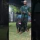 @bugzy_f_h_menidic🐕‍🦺.   Cute puppies available…….. #rottweilerpuppy #pets #dogbreed #rottweiler