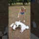 A Kind Girl Rescues Dog from Bees 🐶🐝❤️