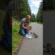 A Kind Man Helped a Owl and her chicks on the roadside - Heartwarming Story
