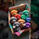 A box of cute puppies #super healing cute little dog #very cute little dog #cute #cutedog