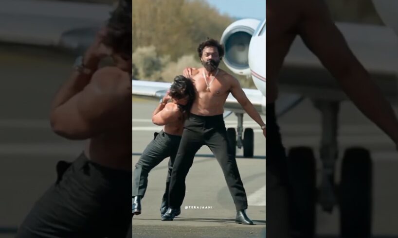 Animal Movie Best Fight Scene #love #fight #bollywood #animal #animalmovie #shorts #animalshorts