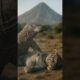 Animal fighting in Asia (Tiger, Panther, Warthog) #animalfight #shorts #ia #videoviral