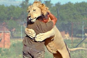 Animals Reunited With Owners After Years !