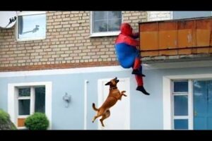 BEST OF THE WEEK #9 - Funniest Fails of the Week