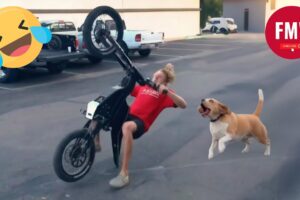 Best Fails of the Year 😂 Try Not To Laugh Challenge 😁 Memes Part 1