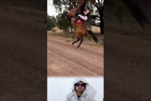 Best funny fails of the week | try not to laugh #shorts