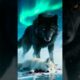 Black Wolf vs Arctic Animals(Polar Bear, White Tiger, Arctic Wolf) #shorts