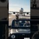 Brave Dog Saves Passengers at Airport | Airport Rescue Mission