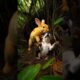 "Brave Rabbit Saves Puppy | Heartwarming Animal Rescue Story 🐇🐶💖