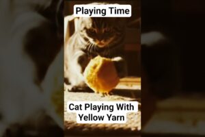 Cat Playing Time #shorts #youtubeshorts #shortsfeed #shortsvideo #reels #animals #pets #cat