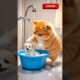 Cat Rescues a Lost Puppy & Becomes a Mom ❤️ #shorts #shortsfeed #cat #puppy #viral #catdog